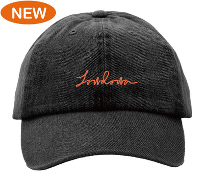 Lowdown Logo Cap / DENIM BLACK
