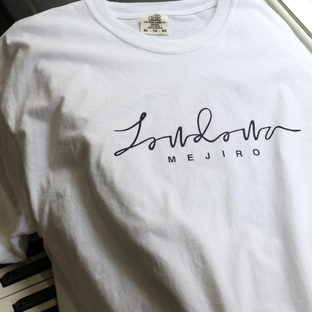 LOWDOWN t-shirt / WHITE×NAVY