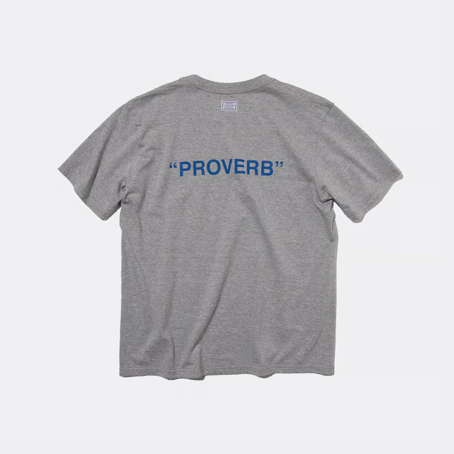 T-4137 / PROVERB / PRESENT / GRAY