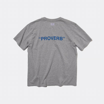 T-4137 / PROVERB / PRESENT / GRAY