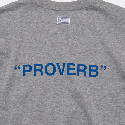 T-4137 / PROVERB / PRESENT / GRAY