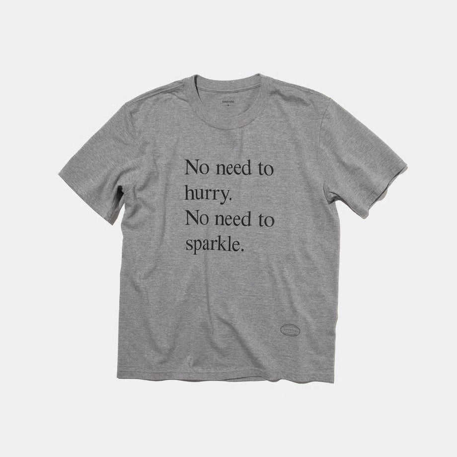 T-4138 / PROVERB / NO NEED / GRAY