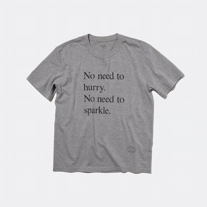 T-4138 / PROVERB / NO NEED / GRAY