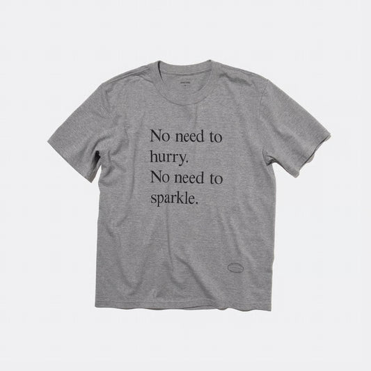 T-4138 / PROVERB / NO NEED / GRAY